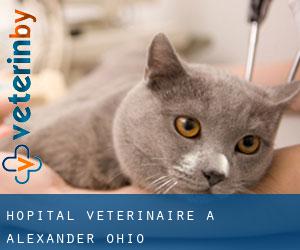Hôpital vétérinaire à Alexander (Ohio)