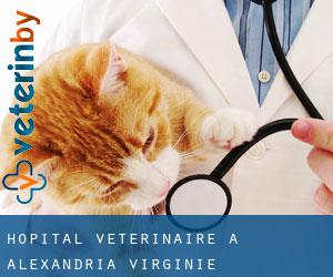 Hôpital vétérinaire à Alexandria (Virginie)