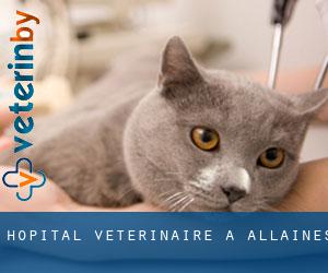 Hôpital vétérinaire à Allaines