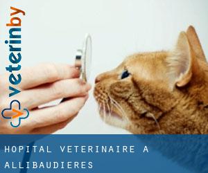 Hôpital vétérinaire à Allibaudières