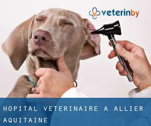 Hôpital vétérinaire à Allier (Aquitaine)