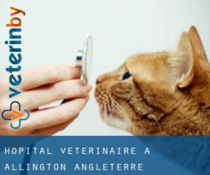 Hôpital vétérinaire à Allington (Angleterre)