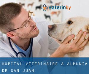 Hôpital vétérinaire à Almunia de San Juan