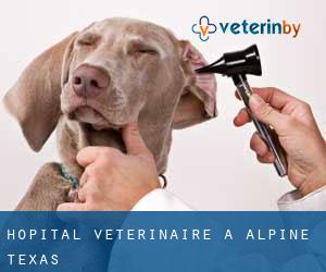 Hôpital vétérinaire à Alpine (Texas)