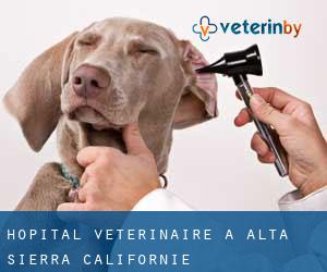 Hôpital vétérinaire à Alta Sierra (Californie)