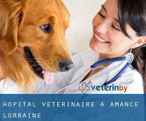 Hôpital vétérinaire à Amance (Lorraine)