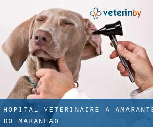 Hôpital vétérinaire à Amarante do Maranhão