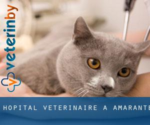 Hôpital vétérinaire à Amarante