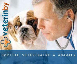 Hôpital vétérinaire à Amawalk
