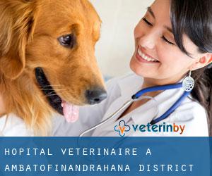 Hôpital vétérinaire à Ambatofinandrahana District