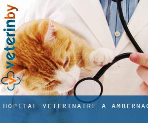 Hôpital vétérinaire à Ambernac