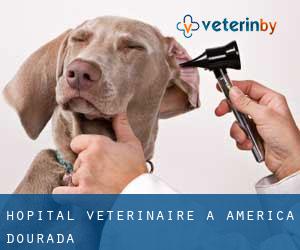 Hôpital vétérinaire à América Dourada