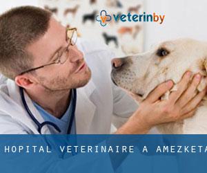 Hôpital vétérinaire à Amezketa