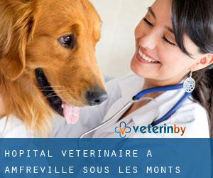 Hôpital vétérinaire à Amfreville-sous-les-Monts