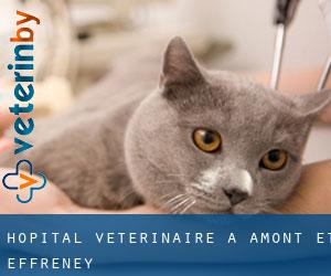 Hôpital vétérinaire à Amont-et-Effreney