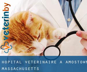 Hôpital vétérinaire à Amostown (Massachusetts)