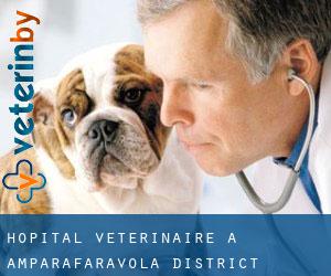 Hôpital vétérinaire à Amparafaravola District