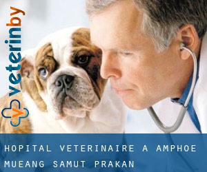 Hôpital vétérinaire à Amphoe Mueang Samut Prakan
