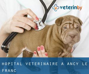 Hôpital vétérinaire à Ancy-le-Franc
