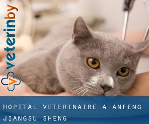 Hôpital vétérinaire à Anfeng (Jiangsu Sheng)