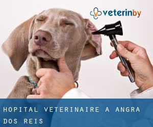 Hôpital vétérinaire à Angra dos Reis