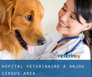 Hôpital vétérinaire à Anjou (census area)