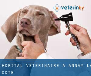 Hôpital vétérinaire à Annay-la-Côte