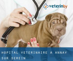 Hôpital vétérinaire à Annay-sur-Serein