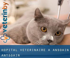 Hôpital vétérinaire à Ansoáin / Antsoain