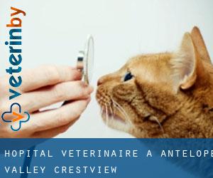 Hôpital vétérinaire à Antelope Valley-Crestview