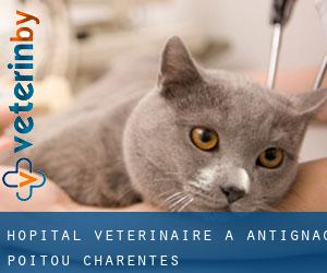 Hôpital vétérinaire à Antignac (Poitou-Charentes)