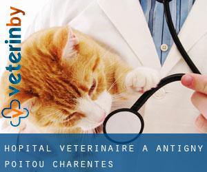 Hôpital vétérinaire à Antigny (Poitou-Charentes)
