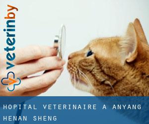 Hôpital vétérinaire à Anyang (Henan Sheng)