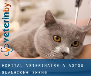Hôpital vétérinaire à Aotou (Guangdong Sheng)