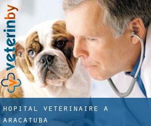 Hôpital vétérinaire à Araçatuba