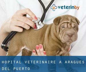 Hôpital vétérinaire à Aragüés del Puerto