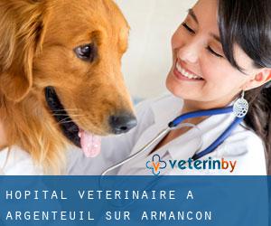 Hôpital vétérinaire à Argenteuil-sur-Armançon