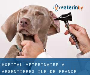 Hôpital vétérinaire à Argentières (Île-de-France)