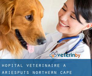 Hôpital vétérinaire à Ariesputs (Northern Cape)