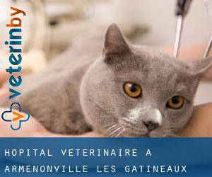 Hôpital vétérinaire à Armenonville-les-Gâtineaux