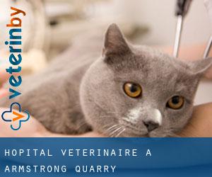 Hôpital vétérinaire à Armstrong Quarry