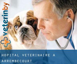 Hôpital vétérinaire à Arrembécourt