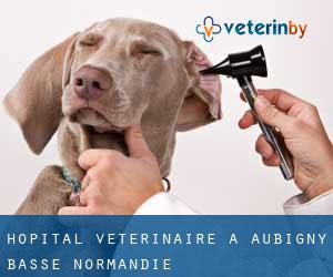 Hôpital vétérinaire à Aubigny (Basse-Normandie)