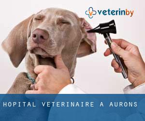 Hôpital vétérinaire à Aurons