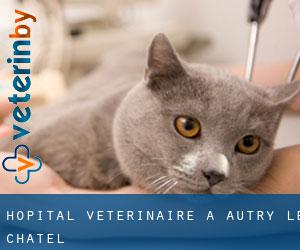 Hôpital vétérinaire à Autry-le-Châtel