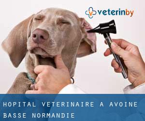 Hôpital vétérinaire à Avoine (Basse-Normandie)