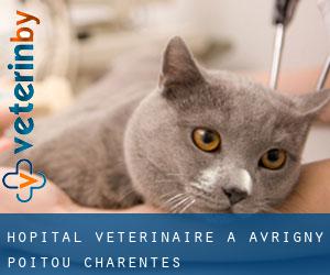 Hôpital vétérinaire à Avrigny (Poitou-Charentes)