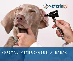 Hôpital vétérinaire à Babak
