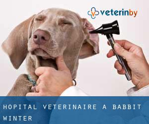 Hôpital vétérinaire à Babbit Winter