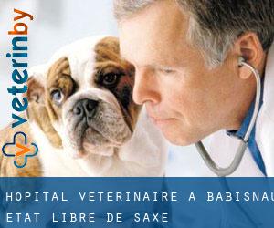 Hôpital vétérinaire à Babisnau (État libre de Saxe)